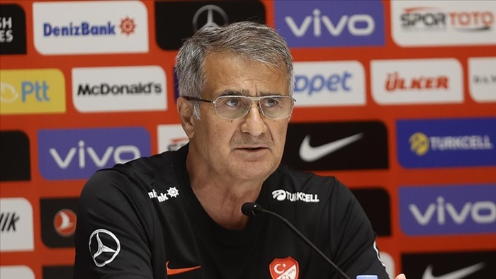 Şenol Güneş EURO 2020'nin üzüntüsünü yaşadıklarını söyledi