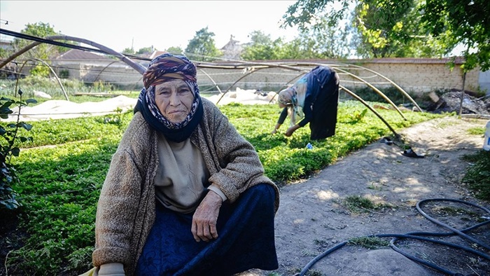 Anne ve kızları ata tohumuyla başladıkları fide üretiminde talebe yetişemiyor