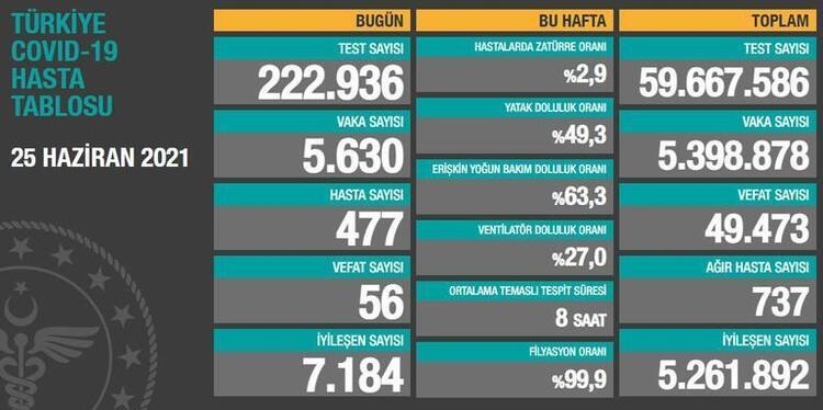 Türkiye'nin 25 Haziran 2021 güncel koronavirüs tablosu