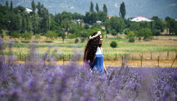 Adana'nın görsel şölen sunan lavanta bahçeleri fotoğraf tutkunlarını ağırlıyor