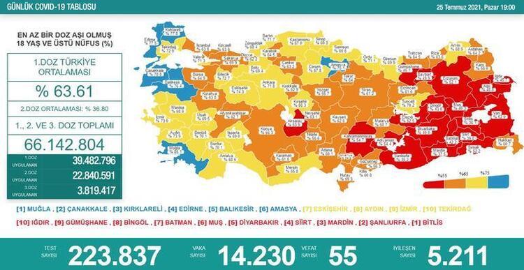 Türkiye'nin 25 Temmuz 2021 güncel koronavirüs tablosu