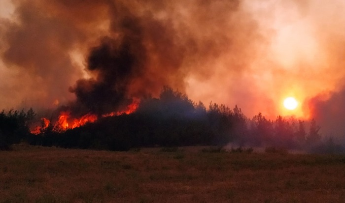 IPCC Uyardı: “İklim Değişikliğini Sınırlandırmak İçin Derhal Harekete Geçilmeli”