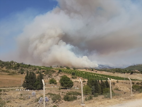 Adana'da tarlada başlayıp ormanlık alana sıçrayan yangına müdahale ediliyor