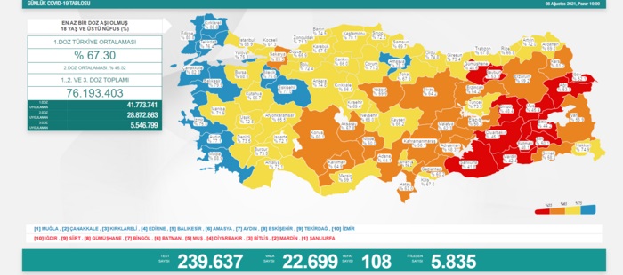 Türkiye'nin 08 Ağustos 2021 güncel koronavirüs tablosu