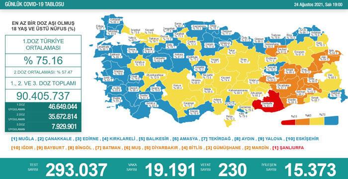 Türkiye'nin 24 Ağustos 2021 güncel koronavirüs tablosu