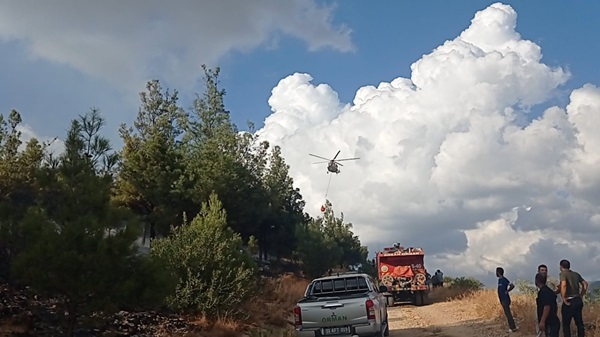 Hatay'da çıkan orman yangını karadan müdahaleyle kontrol altına alındı