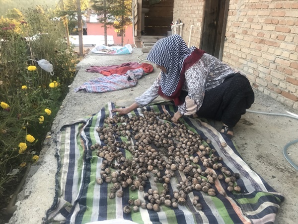 Aladağlı kadınların kış hazırlıkları başladı