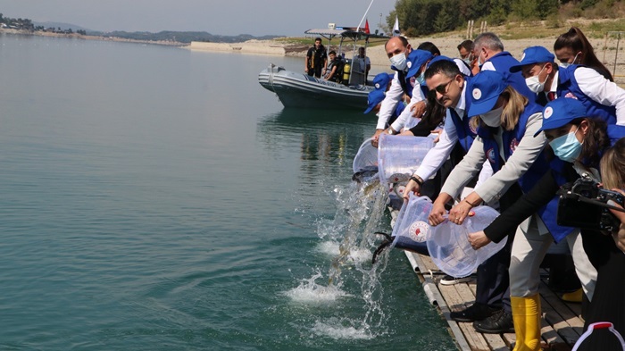 Bakan Pakdemirli Adana'da göle balık bıraktı