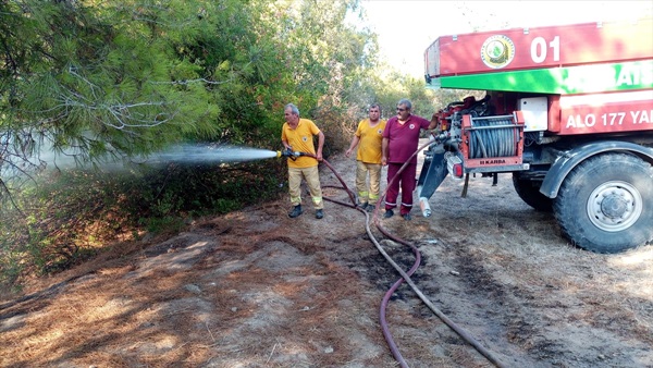 Adana'da çıkan orman yangını kontrol altına alındı