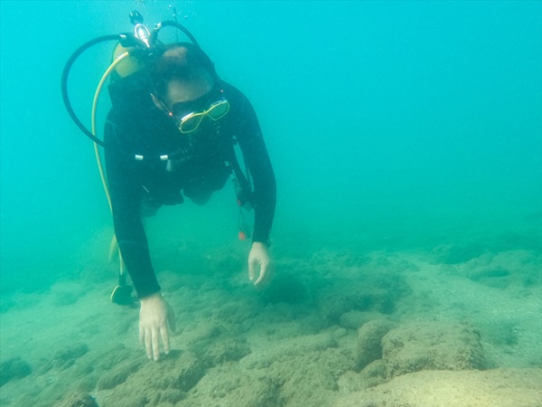 "Su altının ormanları" biyoçeşitliliğin devamı için haritalandırılacak