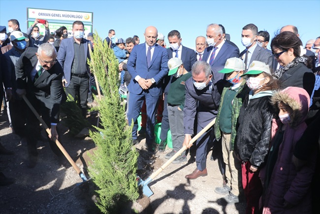 Doğu Akdeniz'de yanan ormanlık alanlar Milli Ağaçlandırma Günü'nde fidanla buluşturuldu