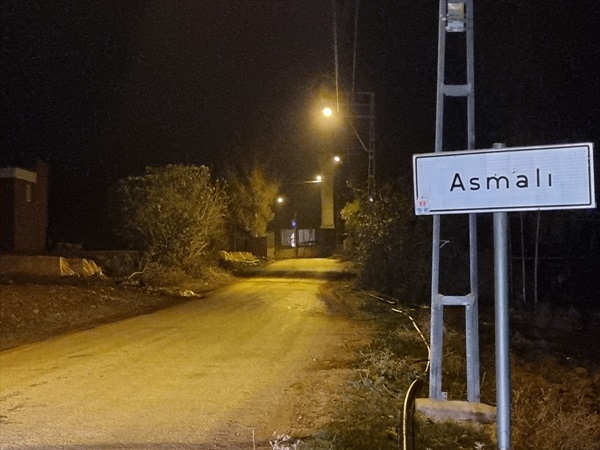 Adana'da iki mahallede "mavi dil hastalığı" nedeniyle karantina uygulandı