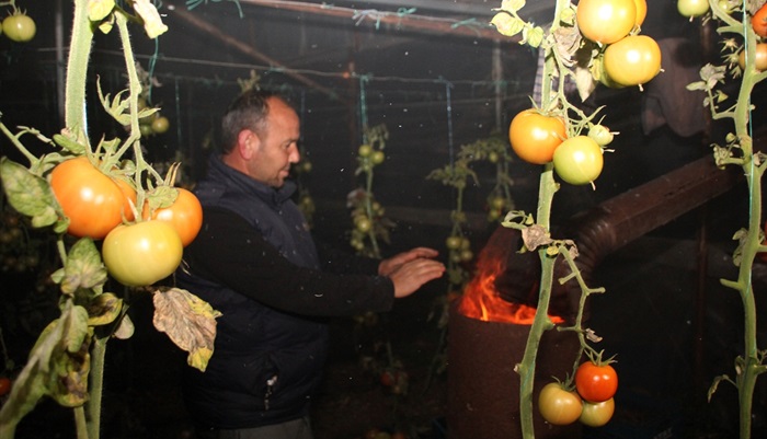 Adana'da "don" olaylarının tarıma etkisi değerlendirildi