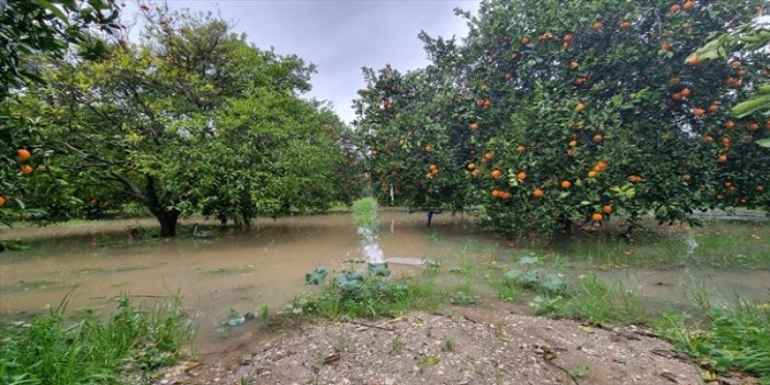 Adana'da sağanak tarım alanlarında su baskınına yol açtı