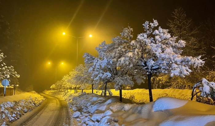 Aladağ'da kardan kapanan yolları açma çalışmaları devam ediyor