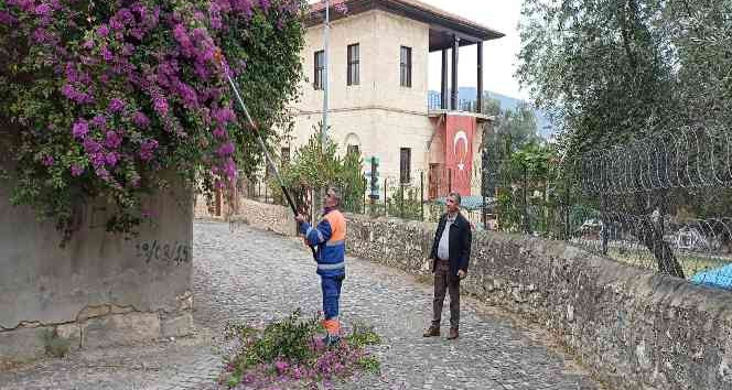 Sürücülere engel ağaçlar budanıyor