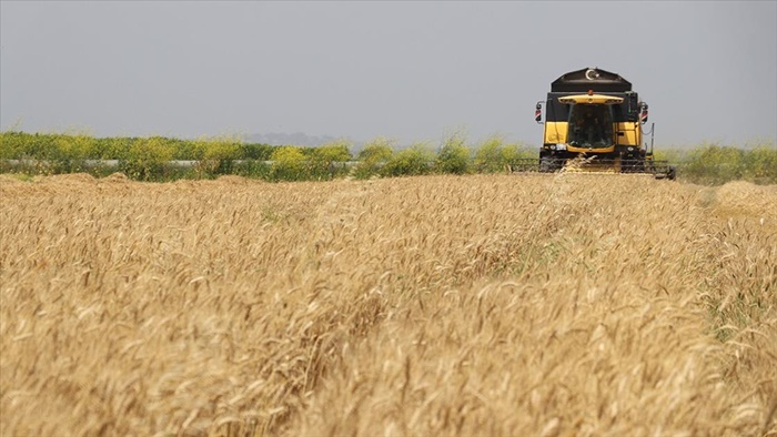 756,6 milyon liralık tarımsal destek ödemeleri bugün yapılacak