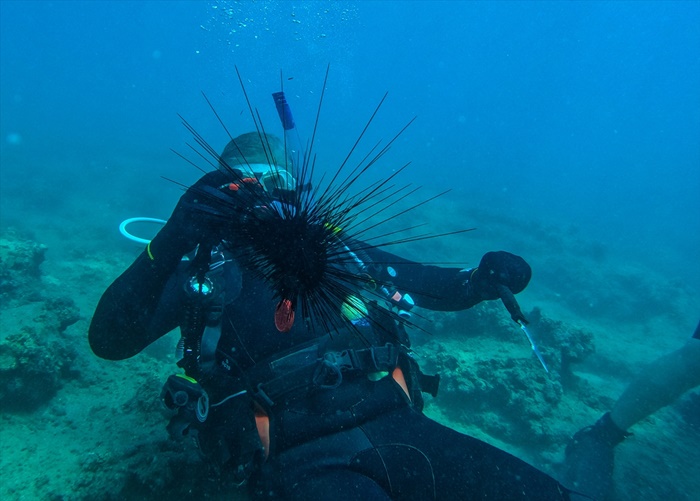 Fotoğraf tutkunları Mersin kıyılarındaki su altı kanyonları için dalıyor