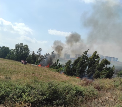 Adana'da örtü ve orman yangını kontrol altına alındı