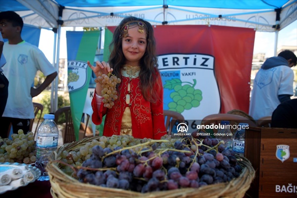 Kahramanmaraş'ta "Bertiz masere günleri festivali" düzenlendi