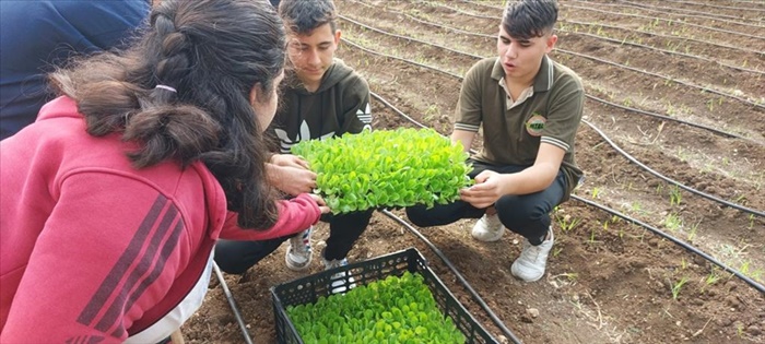 Adana'da öğrenciler, sebze fidelerini toprakla buluşturdu