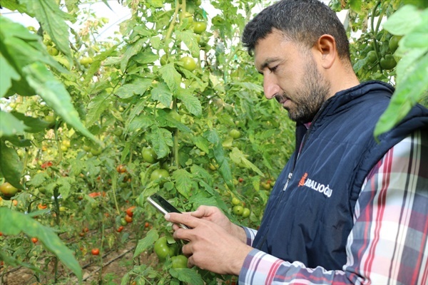 Adana'da üreticiler, "Tarım Cebimde" uygulamasını kullanmaya başladı