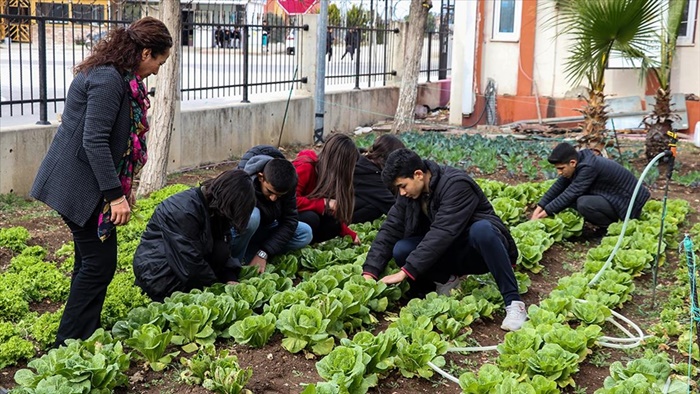 Meslek liseliler tarım uygulamalarını sebze yetiştirerek öğreniyor