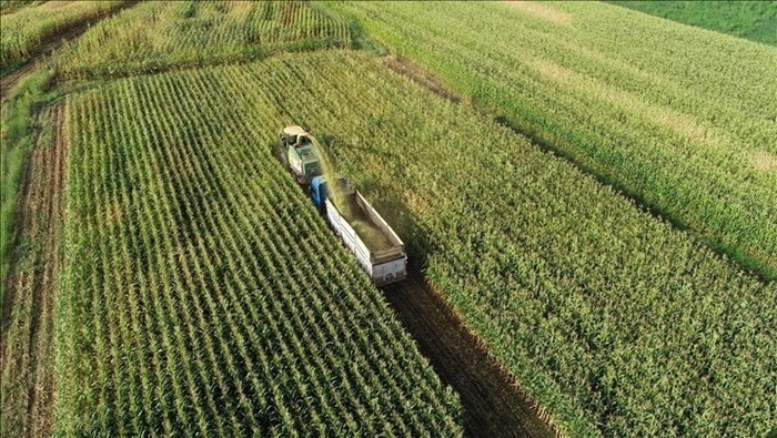 Çiftçilere yaklaşık 1,3 milyar liralık tarımsal destekleme ödemesi bugün yapılacak