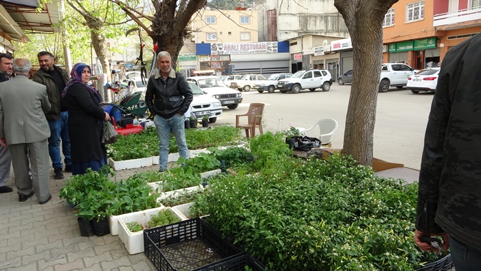 Vatandaş kendi sebzesini yetiştirecek