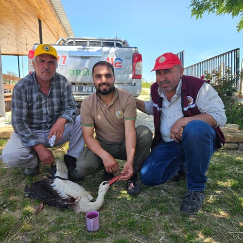 Ormancıların bulduğu yaralı leylek tedavi altına alındı