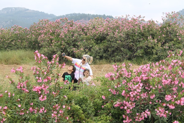 Doğa açık hava fotoğraf stüdyosuna dönüştü