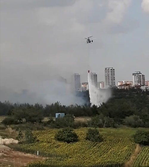 Adana'da orman ürünleri satılan iş yerinde yangın çıktı