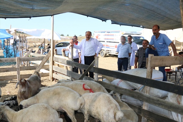 Adana’da kurban fiyatları düşüyor