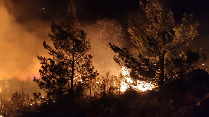 Hatay Belen'de çıkan orman yangınına ekiplerce müdahale ediliyor