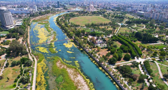 Seyhan Nehri can çekişiyor: Yosunlar nehri istila etti, otlar insan boyuna yaklaştı