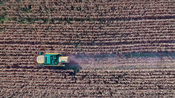 Çiftçilere 295,5 milyon liralık tarımsal destek ödemesi bugün yapılacak