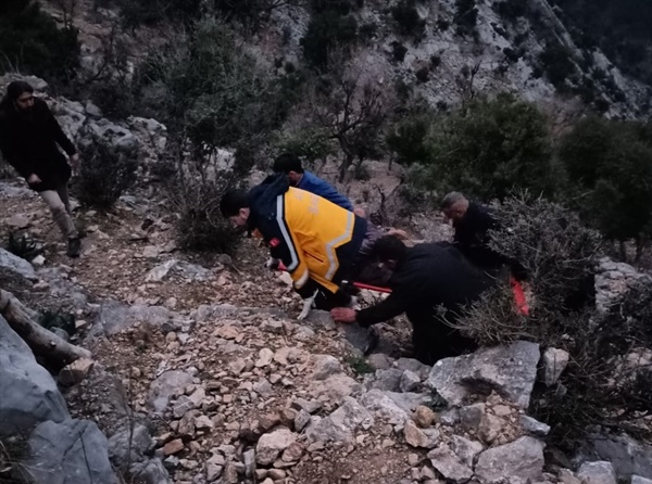 Adana'da dal kesmek için çıktığı ağaçta kalp krizi geçiren kişi öldü