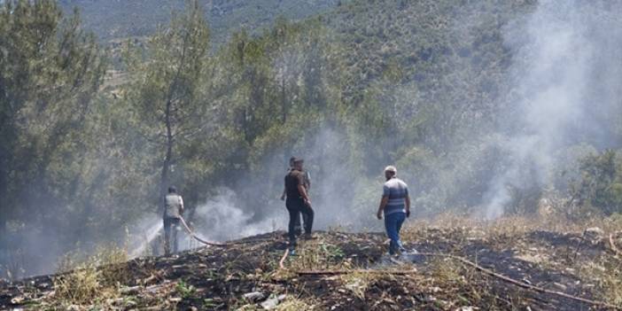 Adana'da ormanlık alanda çıkan yangın söndürüldü