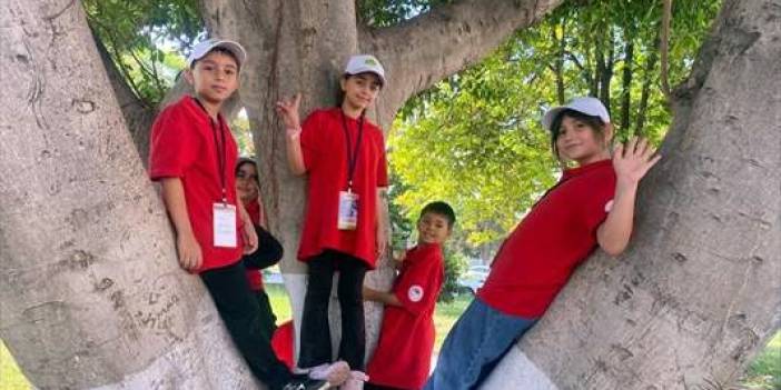 Fıtratın İnşası, Emanetin Korunması: İslâm Terbiye Geleneğinde Otorite ve Sorumlu Özgürlük
