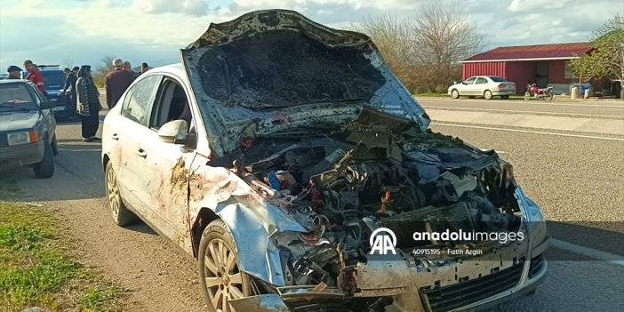 Adana'da otomobilin çarptığı 7 koyun telef oldu
