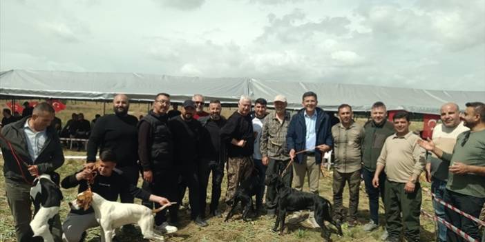 Adana'da "Avcı Köpeği ve Irk Standartları Yarışması" yapıldı