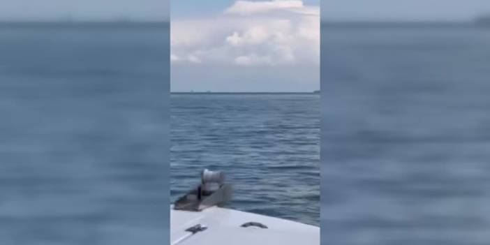 Adana'da denizde mahsur kalan 3 kişi balıkçılar tarafından kurtarıldı