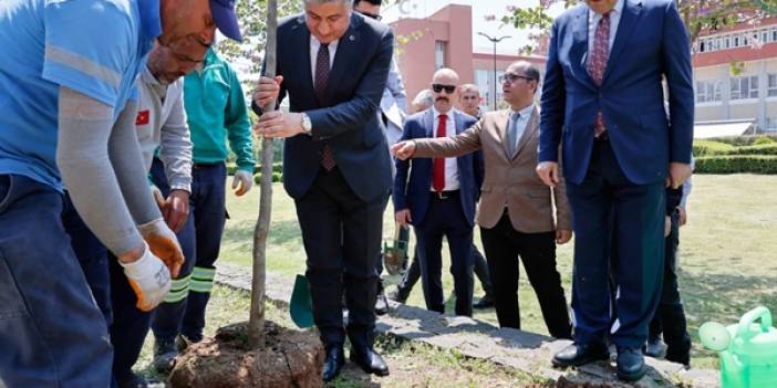 Adana Valiliğinin Bahçesinde 36 Turunç Ağacı Toprakla Buluştu