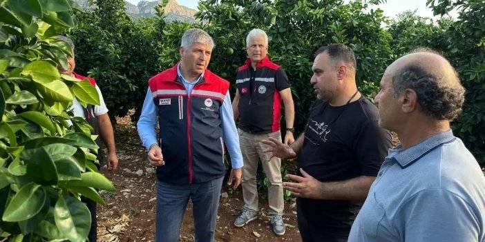 Adana’da dolu vuran tarım arazilerinde incelemeler başladı