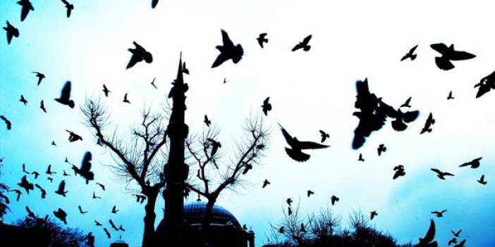 ‘Mehmet İncetaş Hakka Yürüdü'