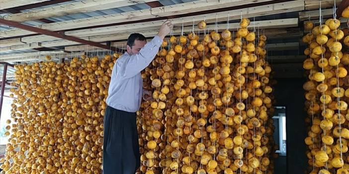 Köyde kurulan tesisle kurutulan cennet hurmaları Almanya’ya ihraç edildi