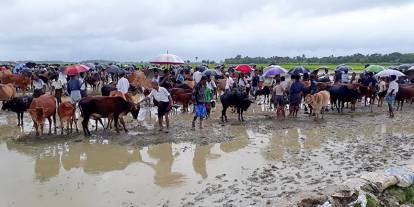 Bangladeş, Arakanlı Müslümanların 4. grubunu Bhasan Char Adası'na gönderdi