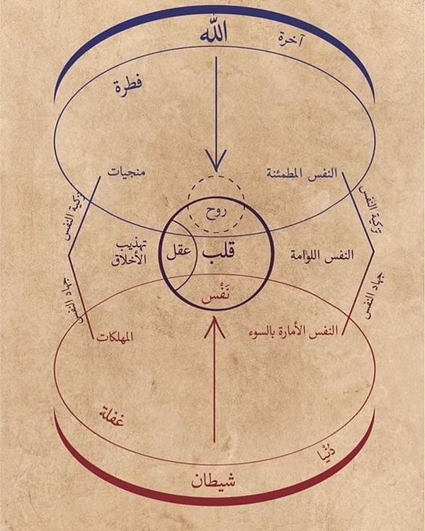 ibn-arabinin-ruh-diyagrami.jpg