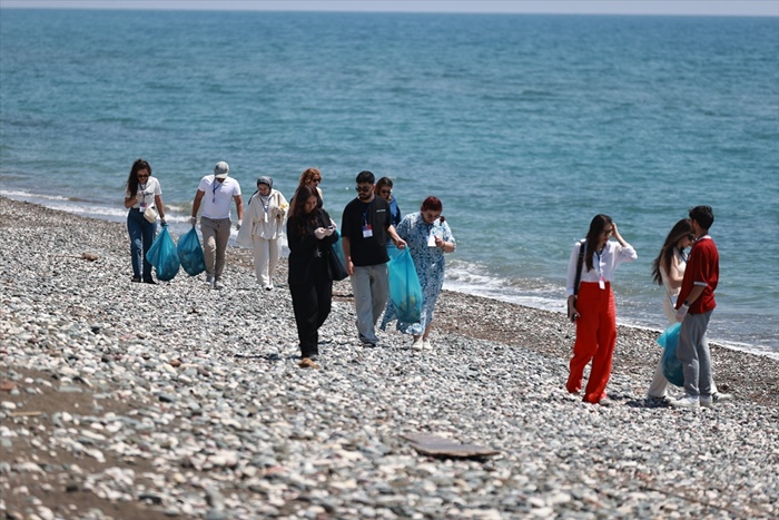 deniz-kaplumbagalari.jpg