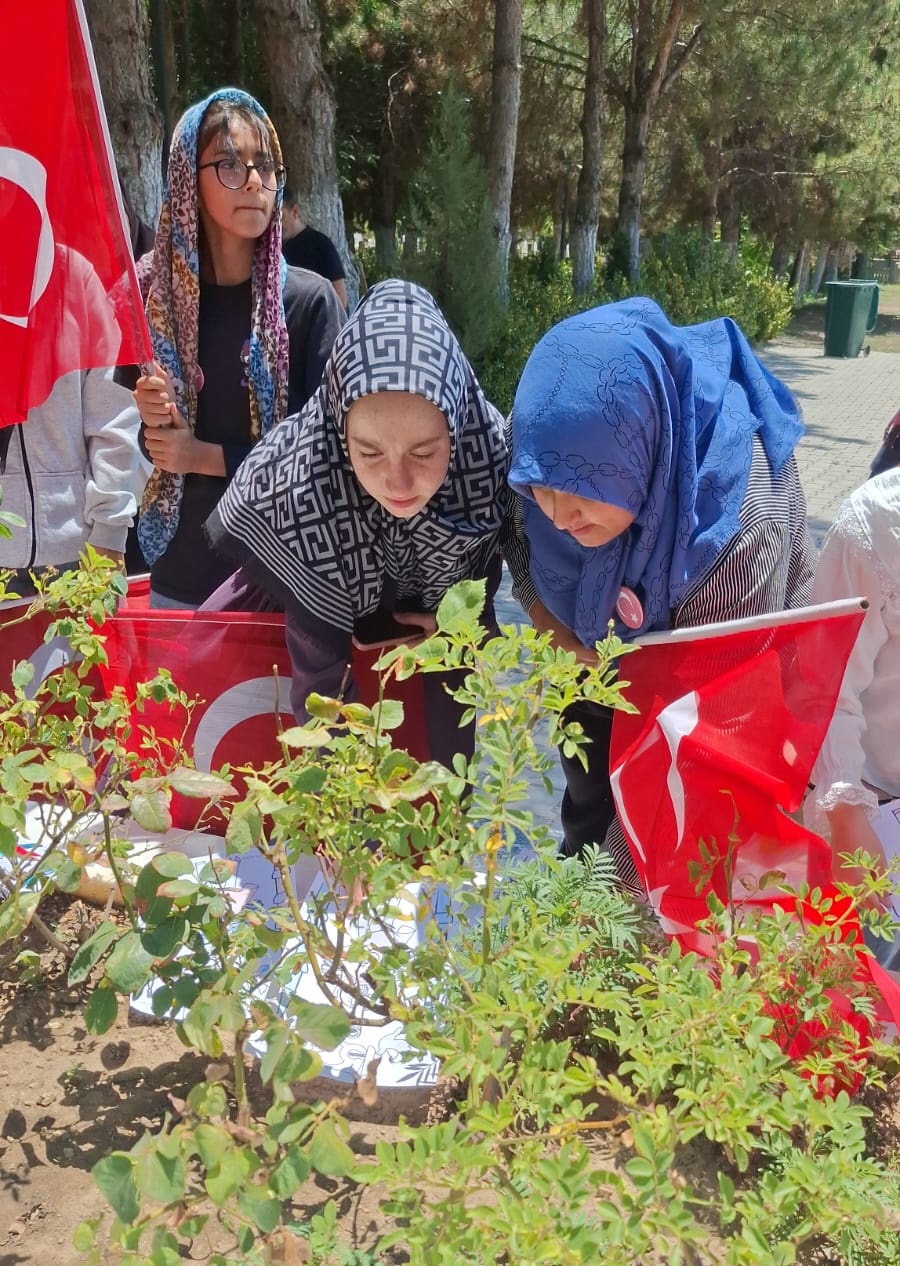 halisdemir-17.jpg